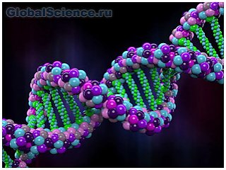 По мнению ученых, 8% ДНК человека содержат важную информацию