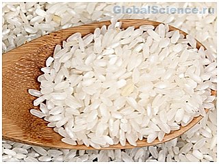 Что ученые думают о рисе?