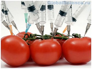 По мнению ученых ГМО продукты полезны
