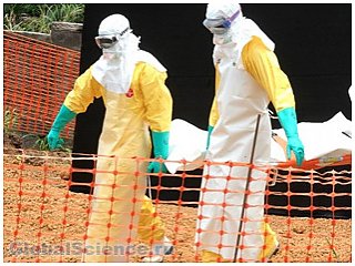 Жертвами лихорадки Эбола в Новой Гвинее стали 377 человек в стране объявили режим ЧП