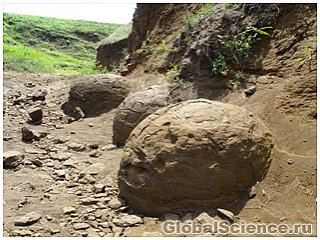 В степях Монголии нашли яйца динозавра