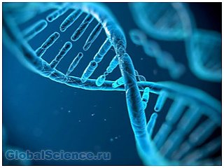 В ДНК человека обнаружили 145 «чужеродных» генов