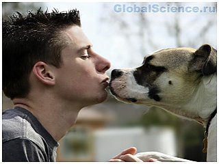 Поцелуи с собаками укрепляют иммунную систему человека