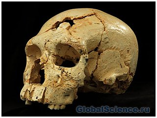 В Испании обнаружены следы убийства возрастом 430 тысяч лет