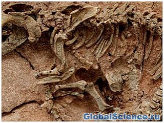 В Бразилии обнаружены останки древнейшего динозавра.