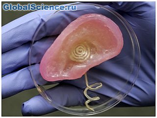 Ученые из США могут усилить человеческий слух с помощью бионического уха