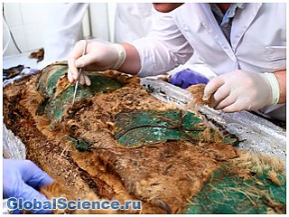 Ученые исследуют ДНК ямальской мумии