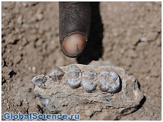 В ЮАР нашли следы неизвестного предка человека