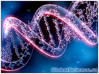 Учёные доказали, что ДНК может самостоятельно восстанавливаться