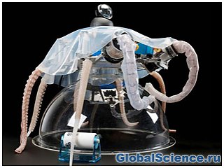 Ученые из Италии создали прототип робота-осьминога