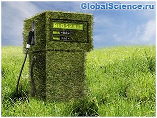 Замена нефти биотопливом не уменьшит выбросы CO2