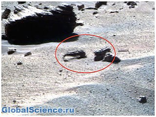 Новые факты: На Марсе нашли останки неизвестных животных