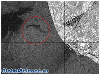 Ученые РАН показали снимок места падения Ту-154 в Черном море
