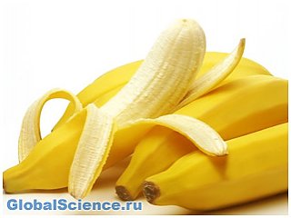 В борьбе с вирусными заболеваниями помогут бананы - ученые