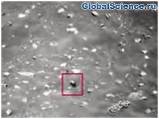 На Марсе обнаружили загадочных улиток