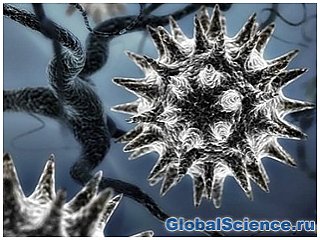 Древние вирусы проснутся из-за глобального потепления - ученые