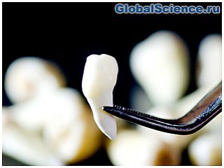 Японские ученые научились выращивать новые зубы