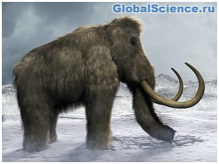 Ученые собираются заселить Арктику шерстистыми мамонтами