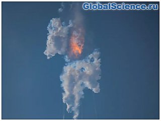 Экологи подали в суд на правительство США из-за взрыва ракеты SpaceX