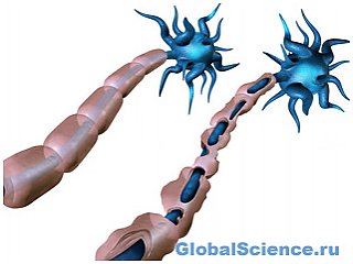 Безрецептурное противогистаминное средство восстанавливает повреждение нервной оболочки, вызванное рассеянным склерозом