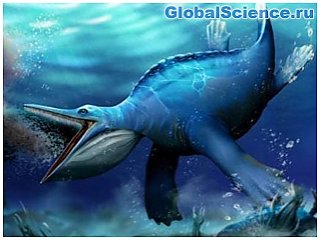 Обнаружено фильтрующее питание,  подобное китовому, у доисторического  морского рептилии