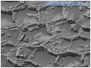 Марсоход Curiosity обнаружил на Марсе загадочные структуры, похожие на пчелиные соты