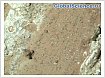 НАСА сообщило о возможных признаках древней жизни на Марсе: находка марсохода Perseverance
