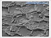 Марсоход Curiosity обнаружил на Марсе загадочные структуры, похожие на пчелиные соты Марсоход Curiosity обнаружил на Марсе загадочные структуры, похожие на пчелиные соты